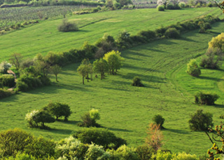 <h1>Bear Meadows</h1>